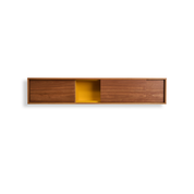 Mid-Century Bathroom Cabinet