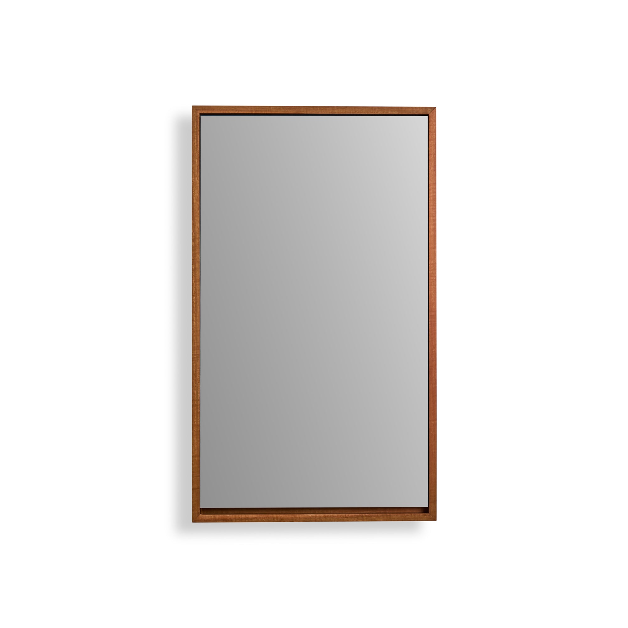 Wall Mounted Cabinet — BFP-650