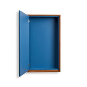 Wall Mounted Cabinet — BFP-650