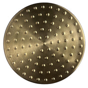 Daintree Antique Brass Shower Head