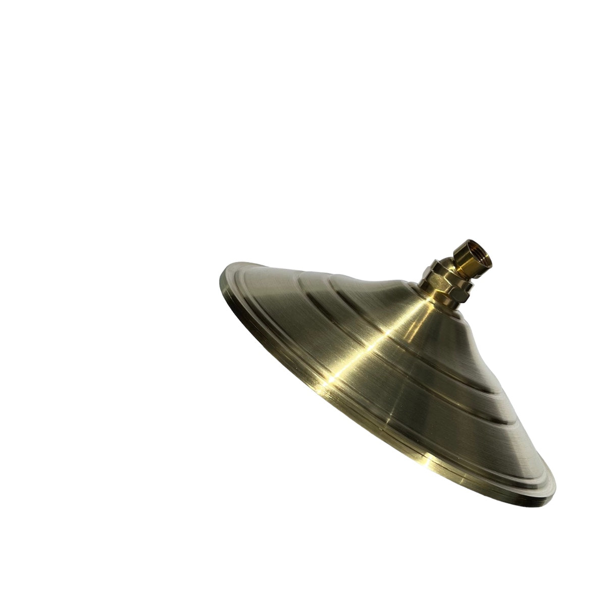 Daintree Antique Brass Shower Head