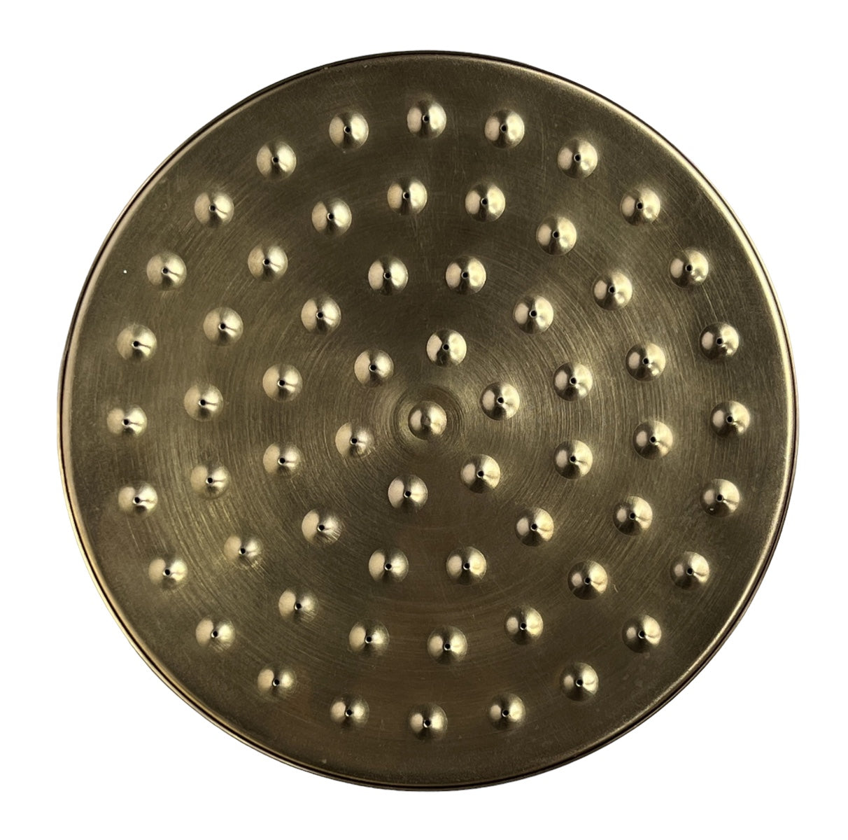 Murray Darling Antique Brass Shower Head