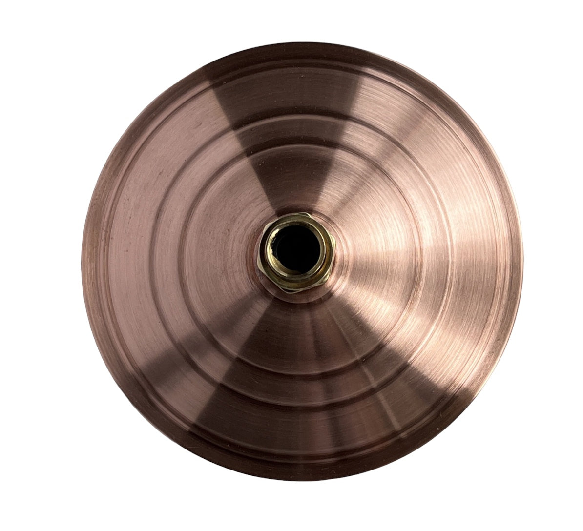 Murray Darling Antique Copper Shower Rose