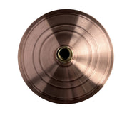 Murray Darling Antique Copper Shower Rose