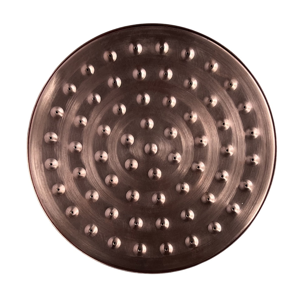 Murray Darling Antique Copper Shower Rose