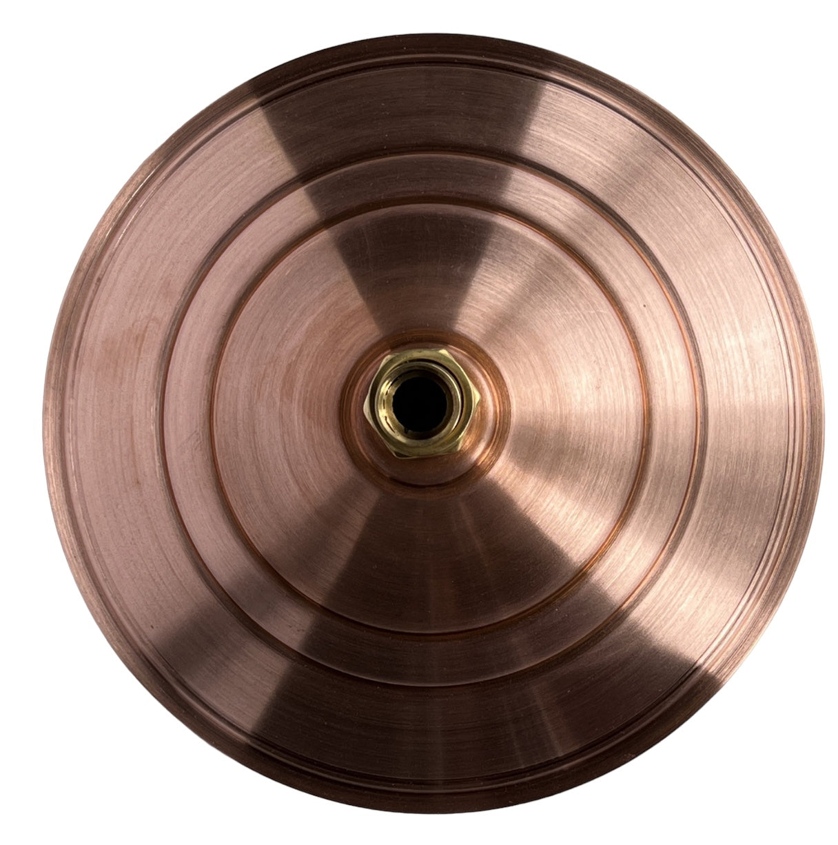 Daintree Antique Copper Shower Rose