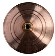 Daintree Antique Copper Shower Rose