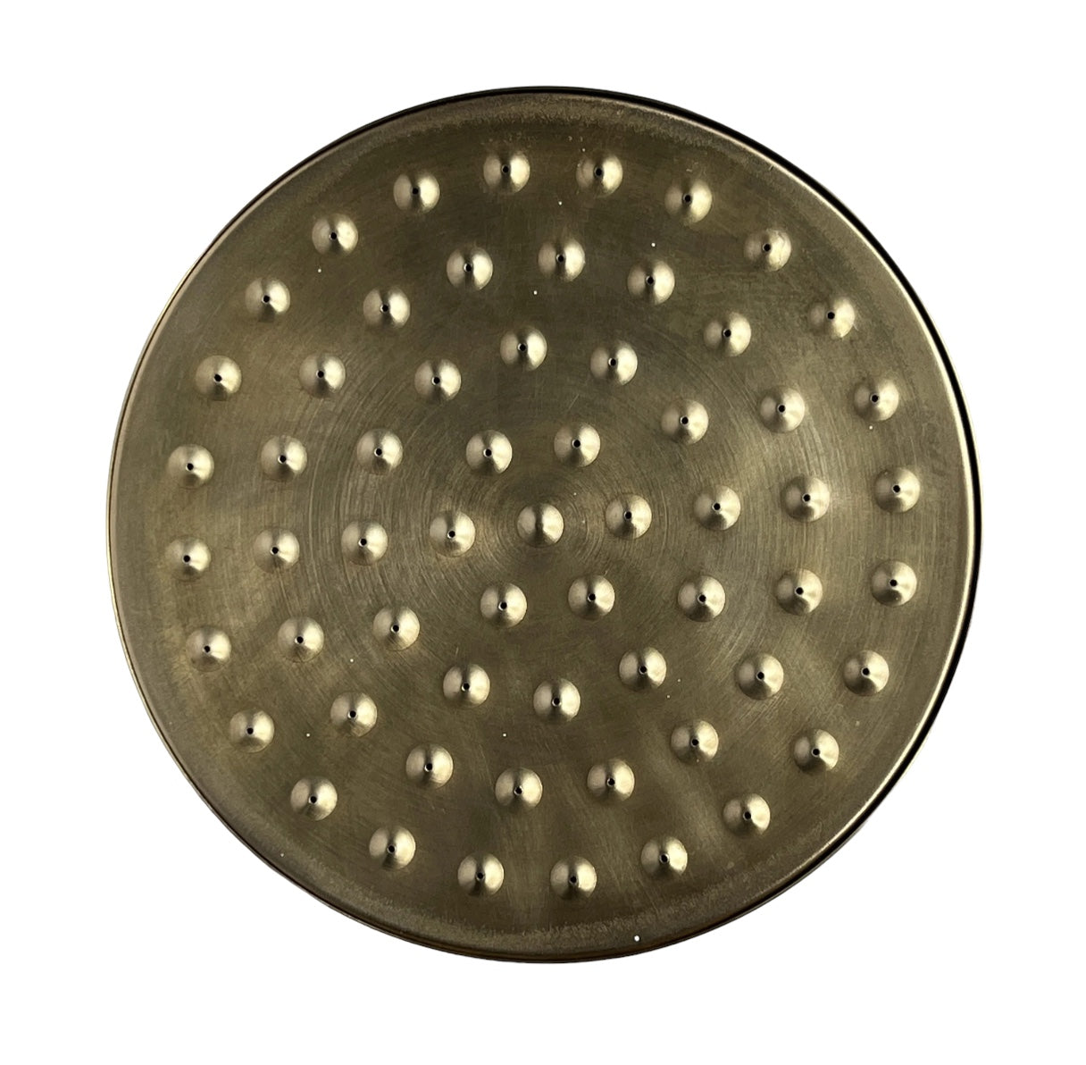 Lennox Modern Brass Shower Rose