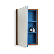 Wall Mounted Cabinet — SFP-650
