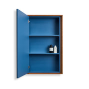 Wall Mounted Cabinet — SFP-650